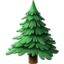 🌲
