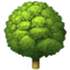 🌳