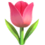 🌷