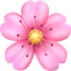 🌸