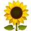 🌻