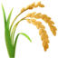 🌾