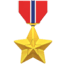 🎖️